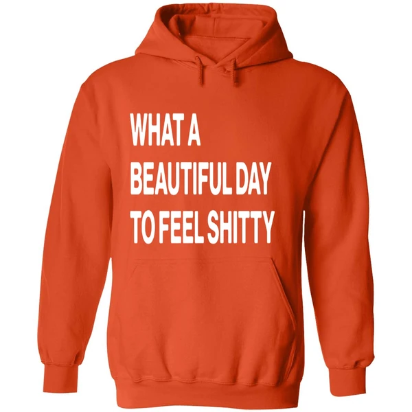 What A Beautiful Day To Feel Shitty Hoodie - Image 6
