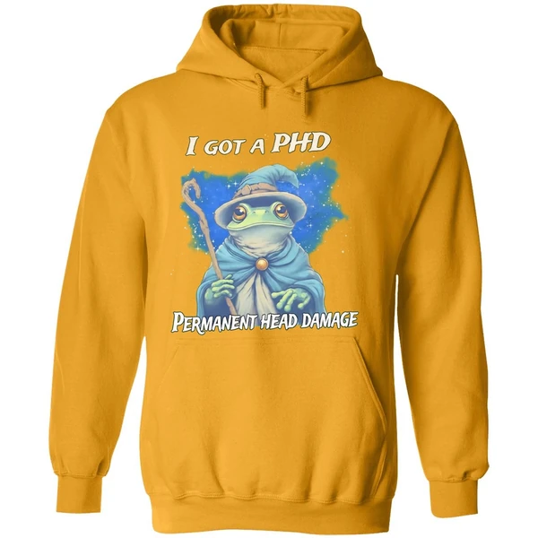 Wizard I Got A Phd Permanent Head Damage Hoodie