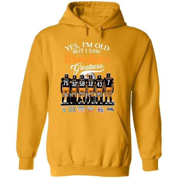 Yes Im Old But I Saw Pittsburgh Steelers Greatness 2025 Hoodie