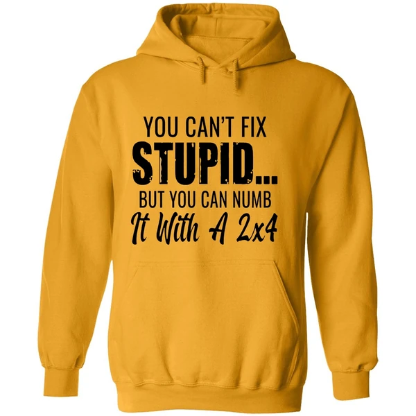 You Cant Fix Stupid But You Can Numb It With A 2x4 Hoodie